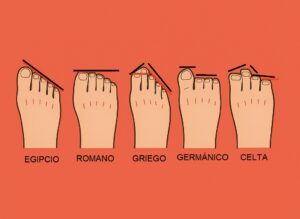 tipos de pie